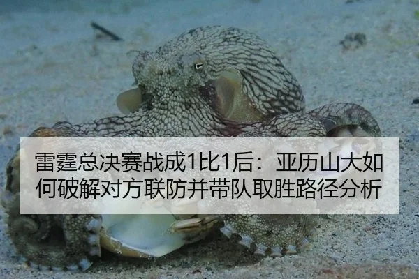 雷霆总决赛战成1比1后：亚历山大如何破解对方联防并带队取胜路径分析