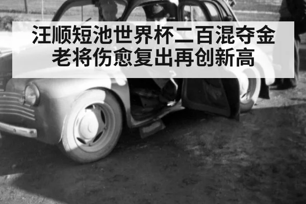 汪顺短池世界杯二百混夺金 老将伤愈复出再创新高